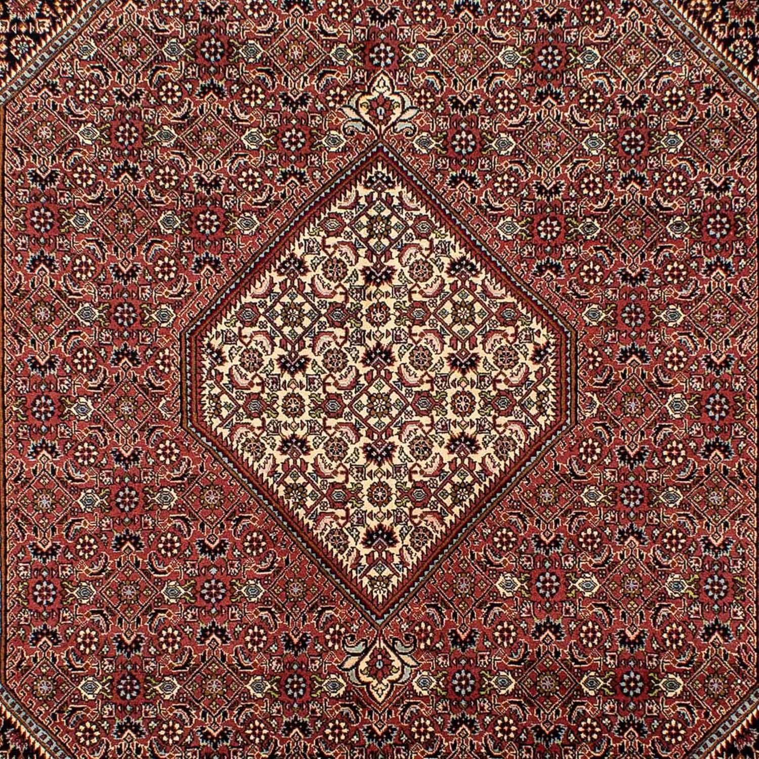 Persisk tæppe - Bijar - 298 x 195 cm - brun
