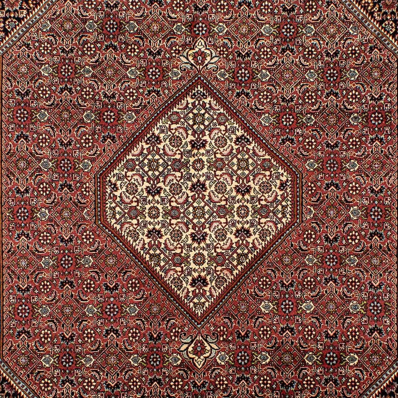 Persisk tæppe - Bijar - 298 x 195 cm - brun