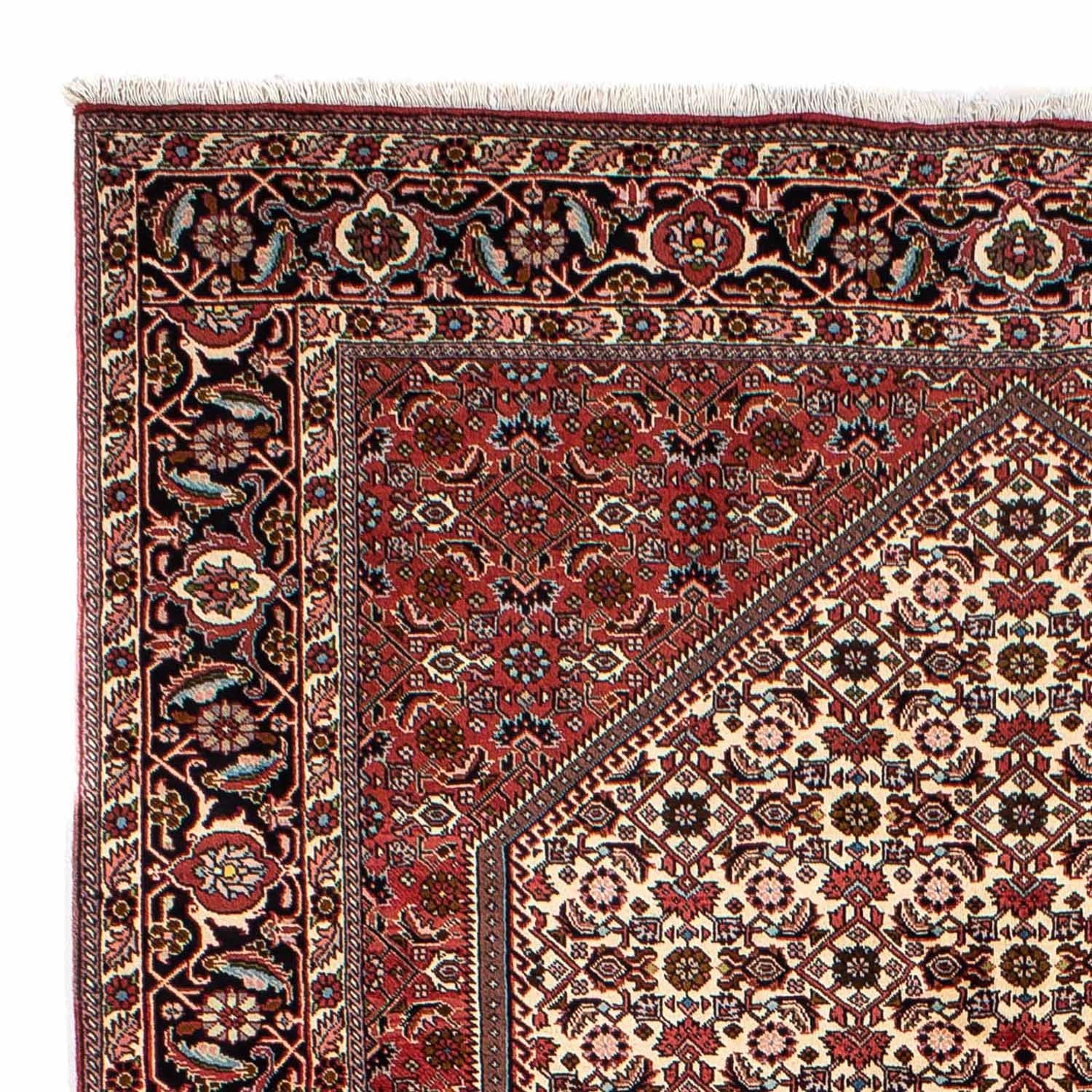 Persisk tæppe - Bijar - 300 x 196 cm - beige