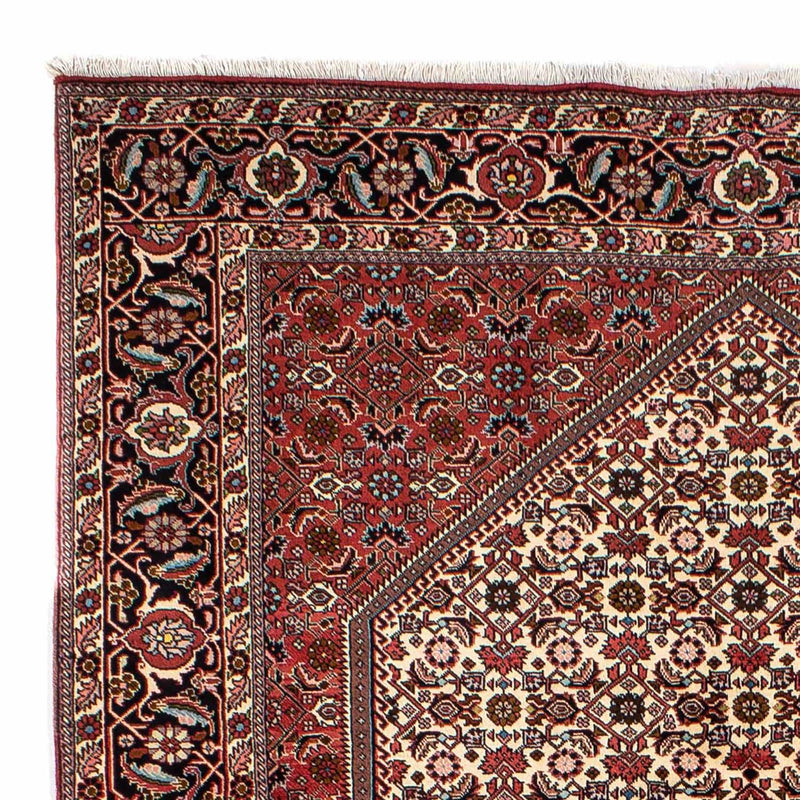 Persisk tæppe - Bijar - 300 x 196 cm - beige