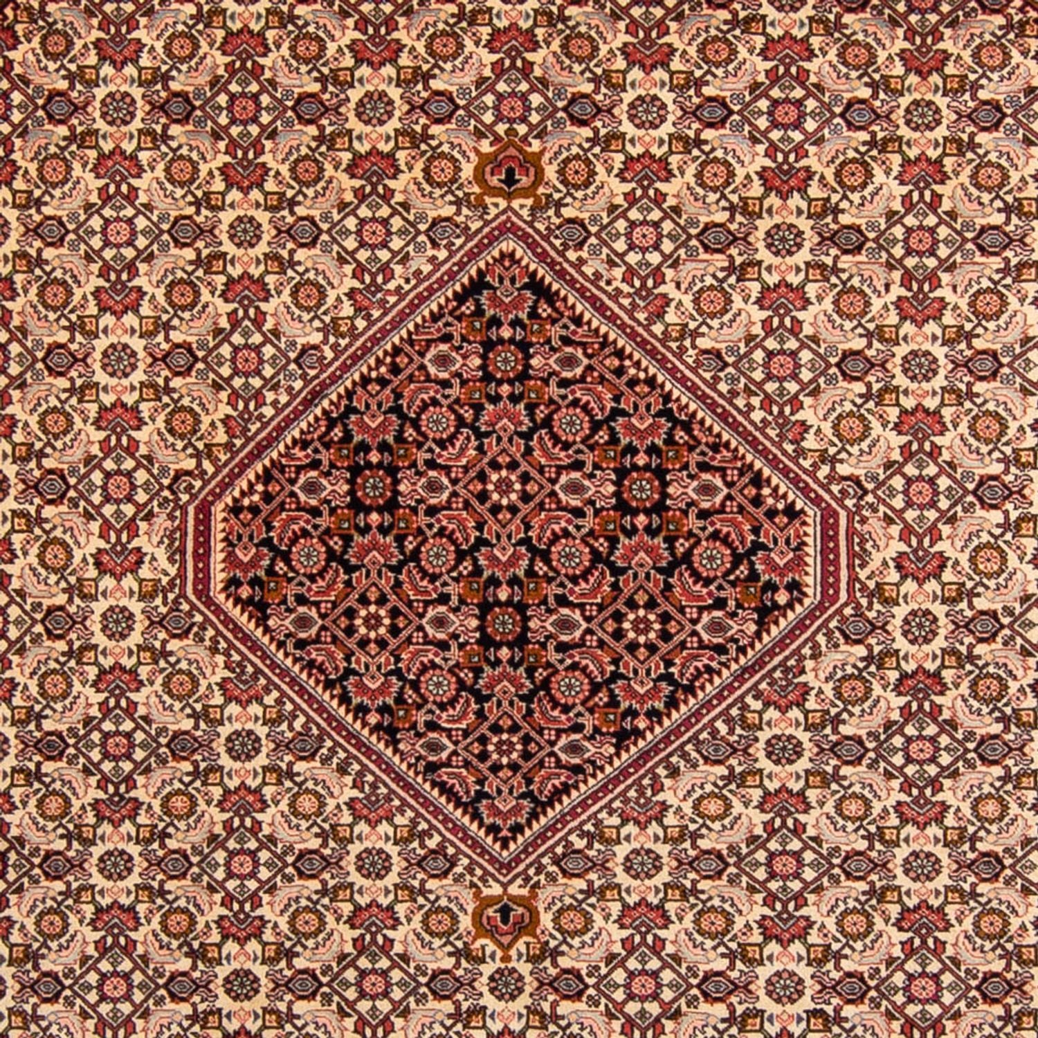 Persisk tæppe - Bijar - 330 x 247 cm - lysrød