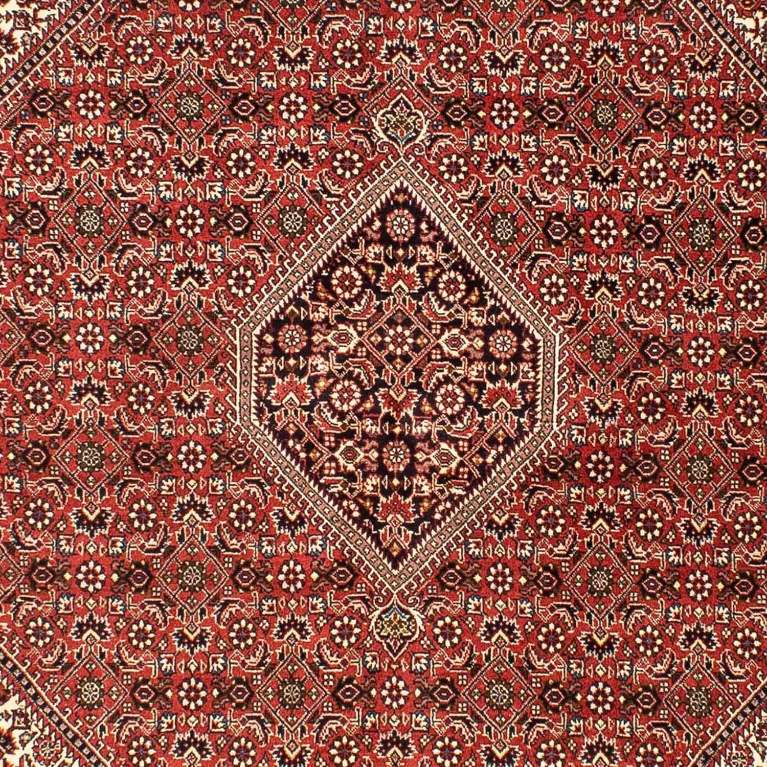 Persisk tæppe - Bijar - 242 x 173 cm - lysrød