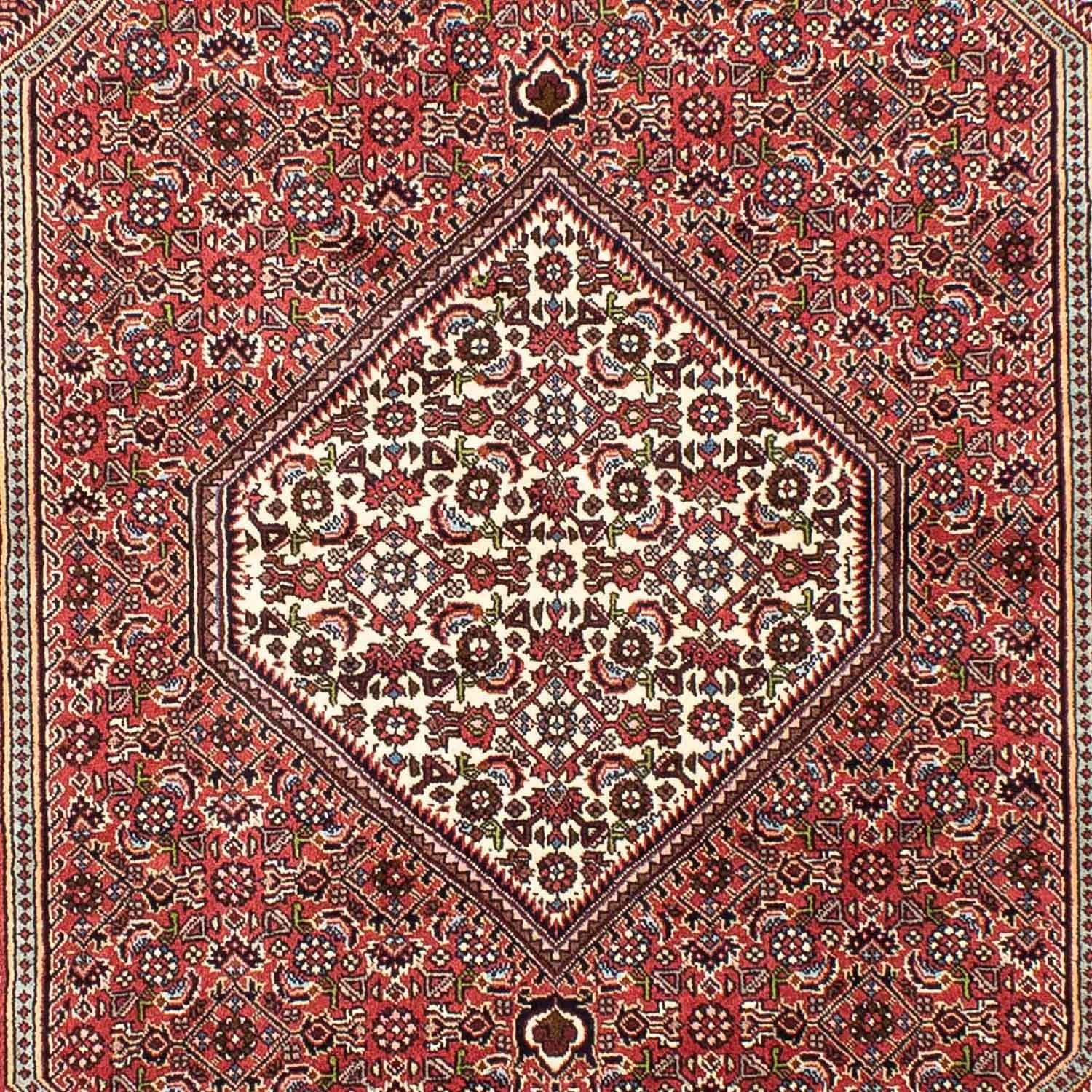 Persisk tæppe - Bijar - 255 x 170 cm - lysrød