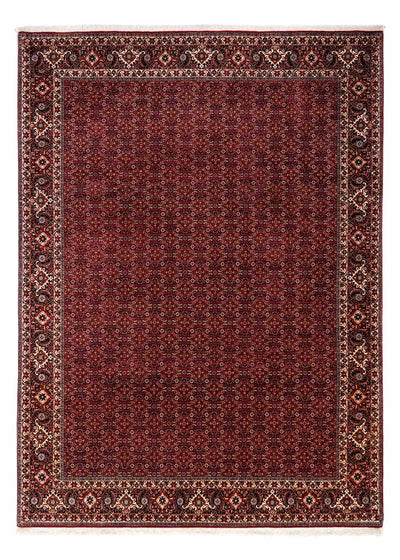 Bidjar - Zanjan Tæppe 250x350cm - Persisk tæppe