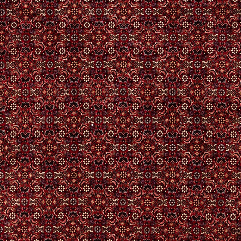 Persisk tæppe - Bijar - 350 x 250 cm - rød