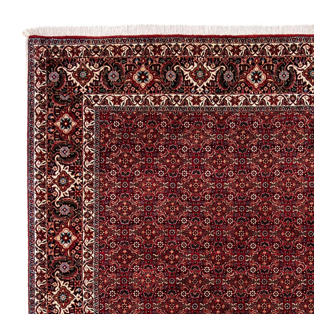 Bidjar - Zanjan Tæppe 250x350cm - Persisk tæppe