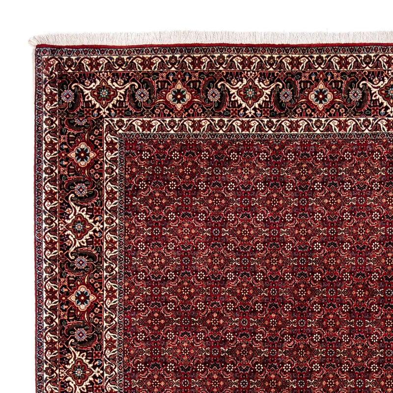 Persisk tæppe - Bijar - 350 x 250 cm - rød