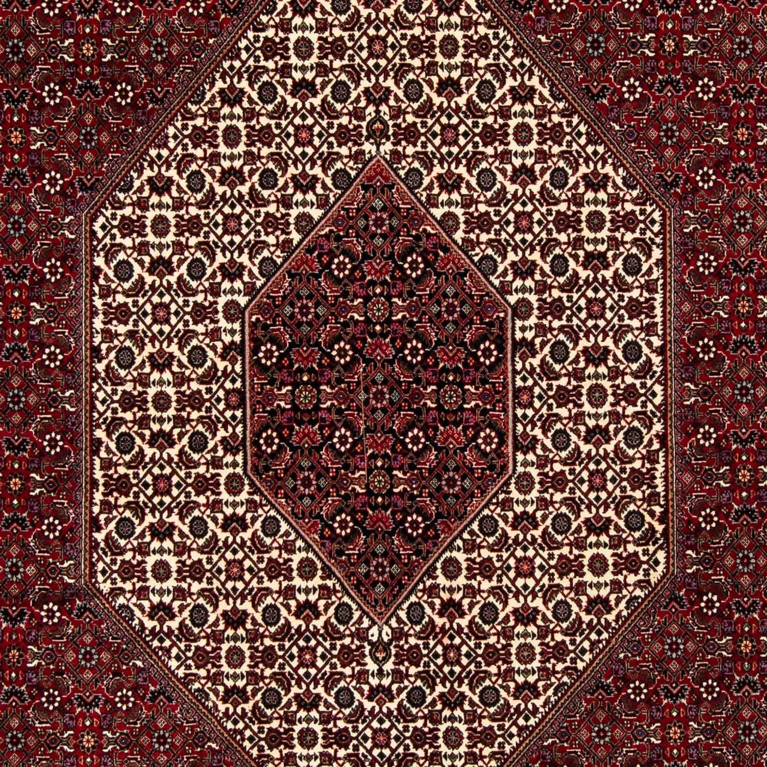 Persisk tæppe - Bijar - 257 x 204 cm - mørkerød