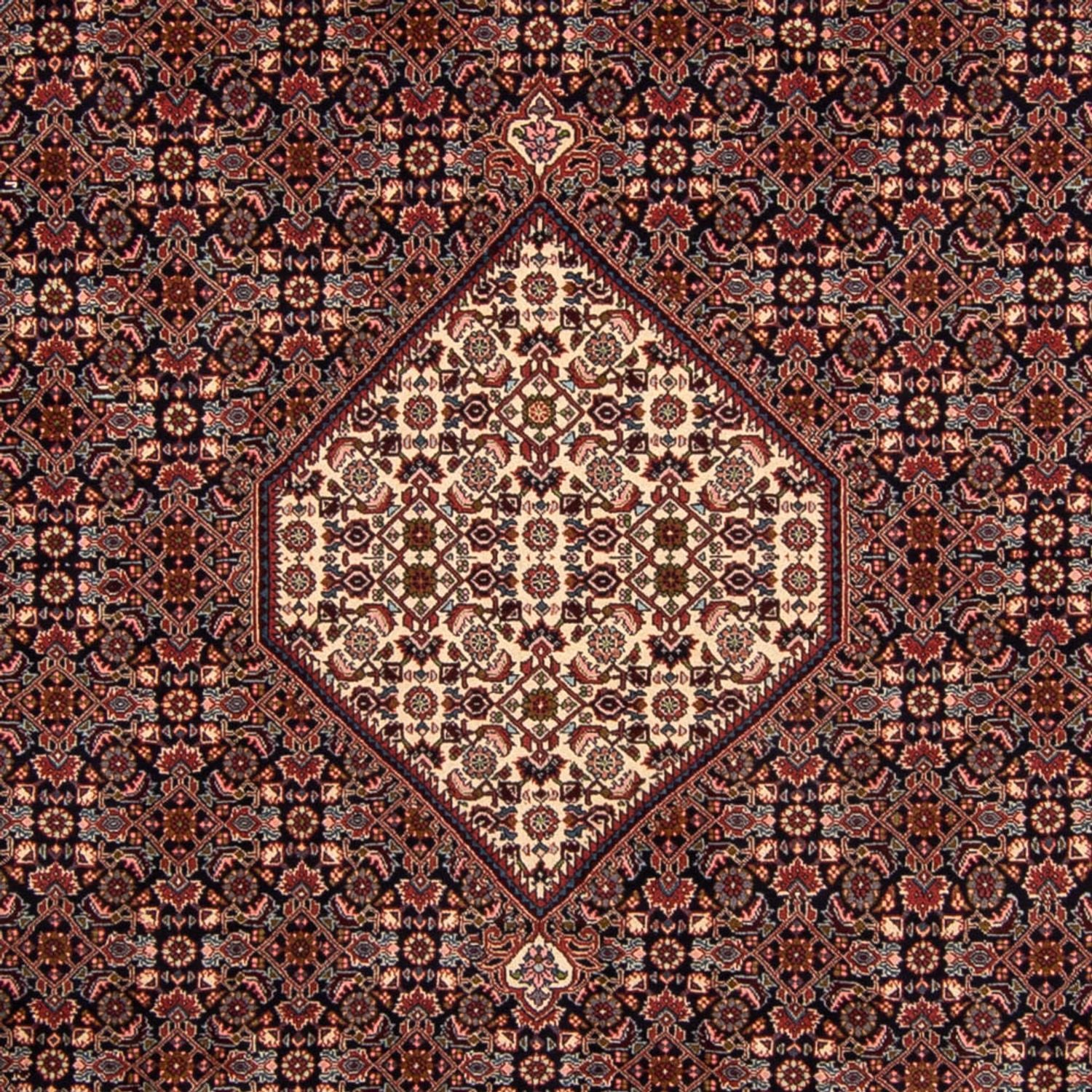 Persisk tæppe - Bijar - 348 x 243 cm - brun