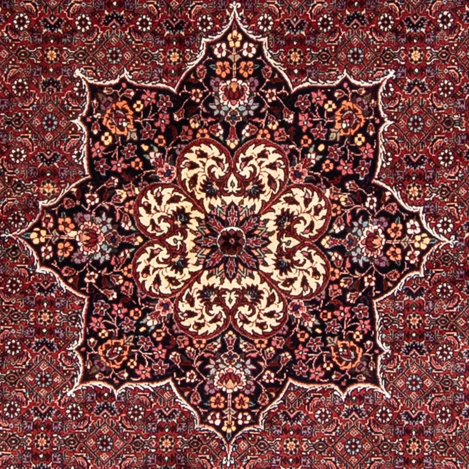 Persisk tæppe - Bijar rundt  - 205 x 205 cm - mørkerød