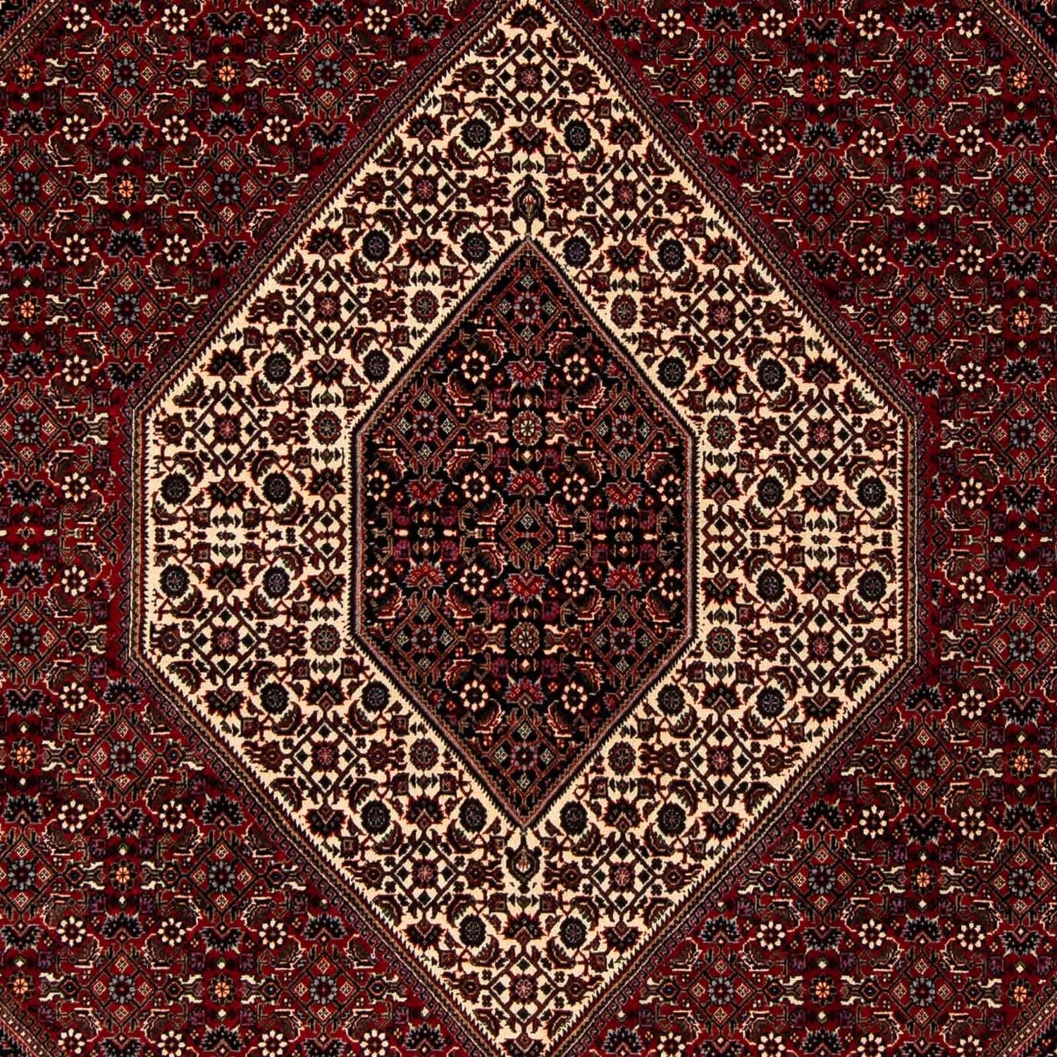Persisk tæppe - Bijar - 251 x 203 cm - mørkerød