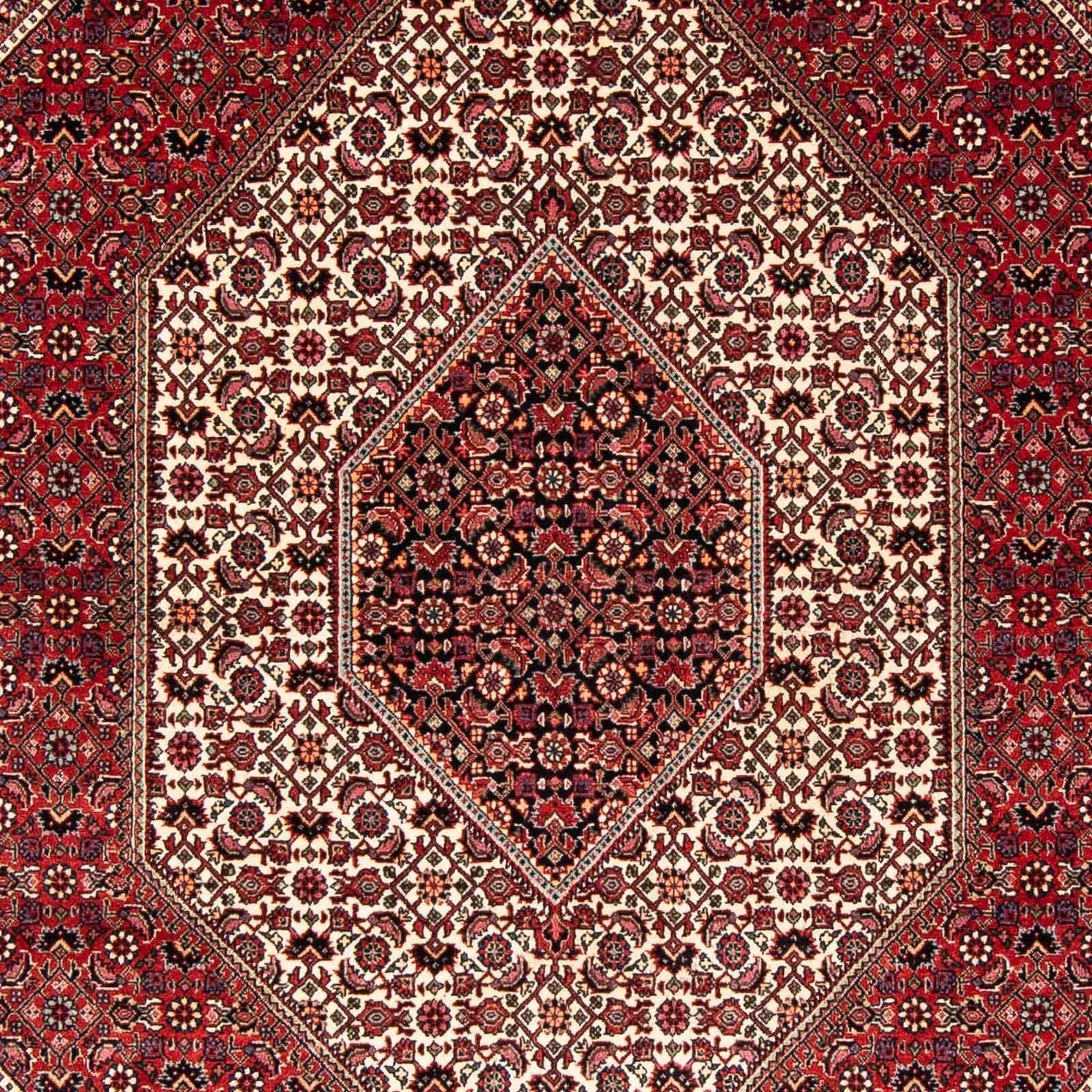 Persisk tæppe - Bijar - 242 x 170 cm - rød