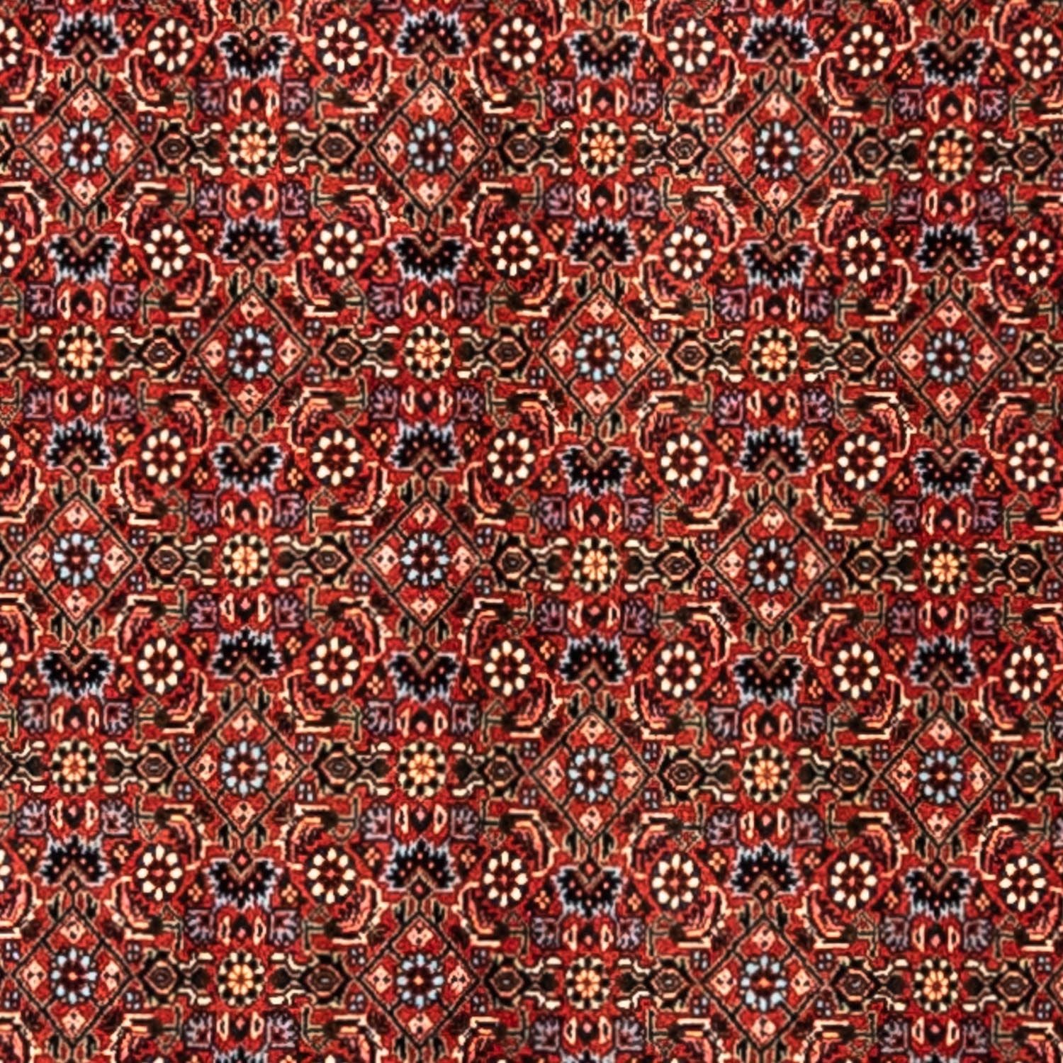 Persisk tæppe - Bijar - Royal - 363 x 248 cm - rød