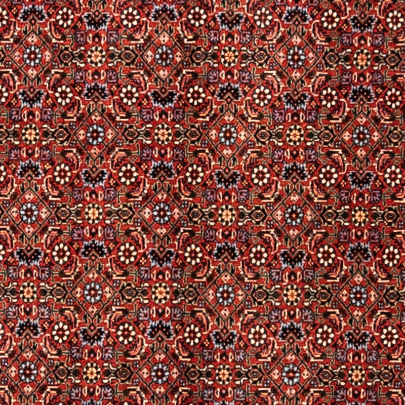 Persisk tæppe - Bijar - Royal - 363 x 248 cm - rød