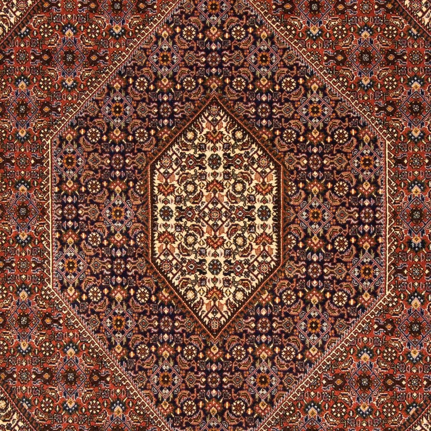 Persisk tæppe - Bijar - 237 x 170 cm - brun