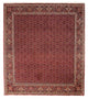 Bidjar Tæppe 288x256cm - Persisk tæppe