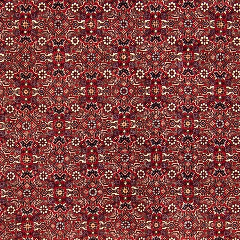 Persisk tæppe - Bijar - 288 x 256 cm - mørkerød