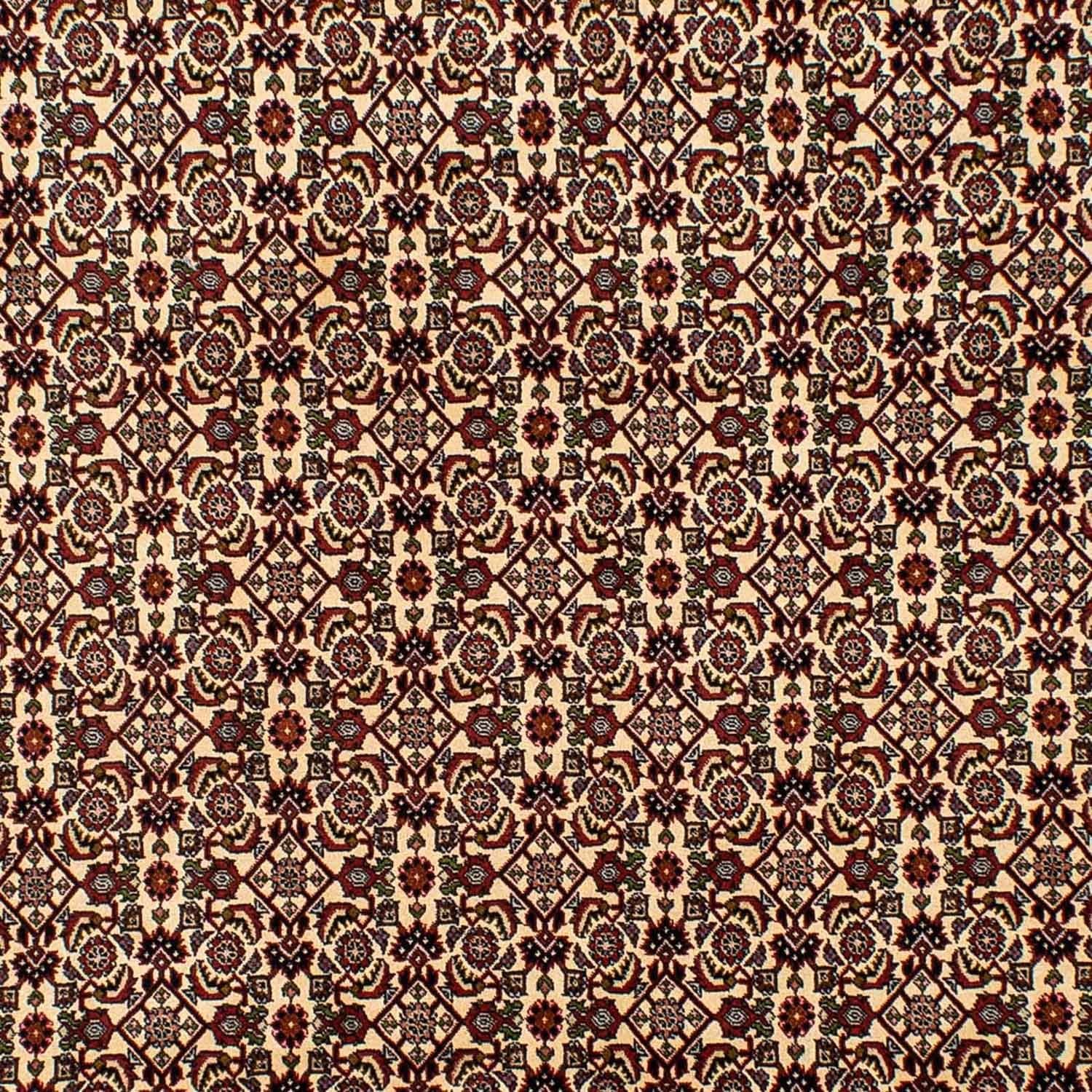 Persisk tæppe - Bijar - 298 x 200 cm - beige