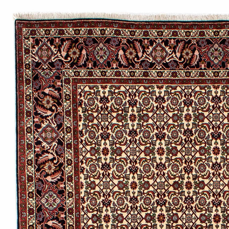 Persisk tæppe - Bijar - 298 x 200 cm - beige