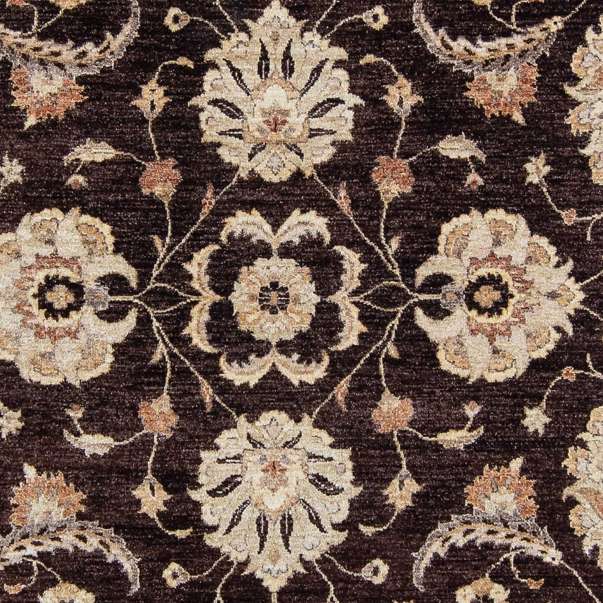 Ziegler Carpet - 338 x 241 cm - mørkebrun