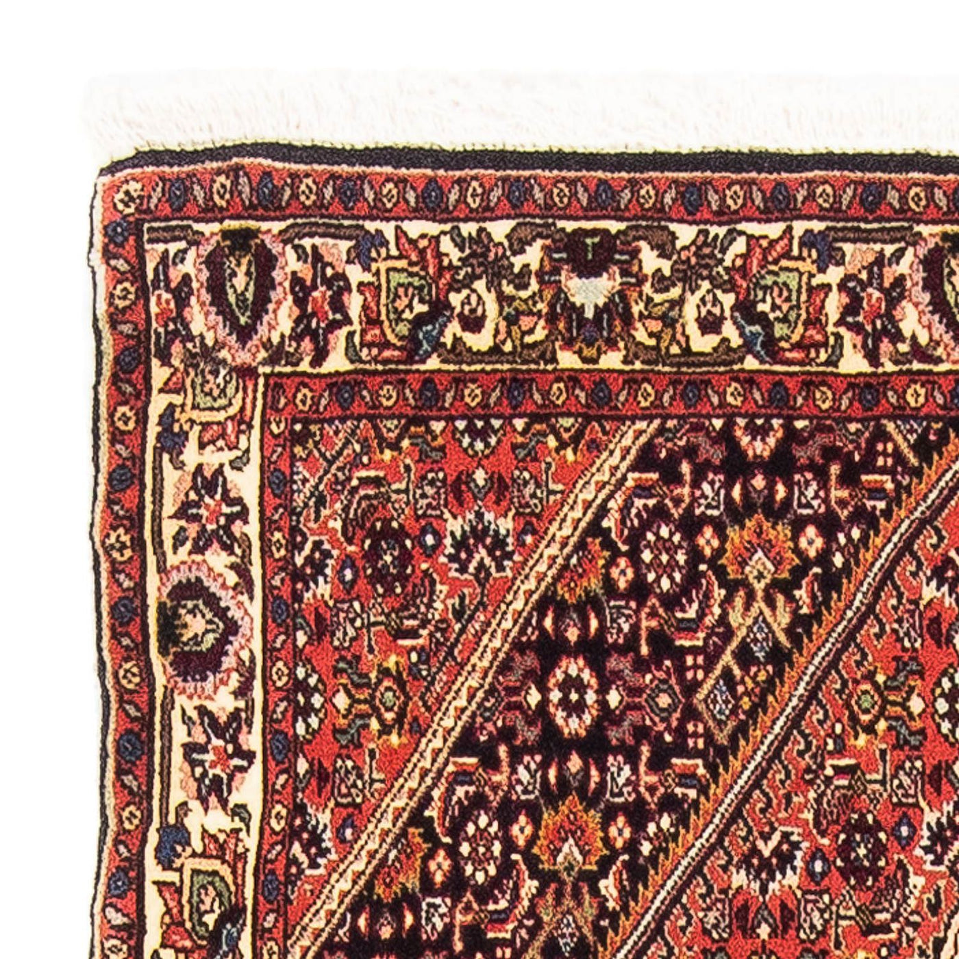 Bidjar - Zanjan Tæppe 151x89cm - Persisk tæppe