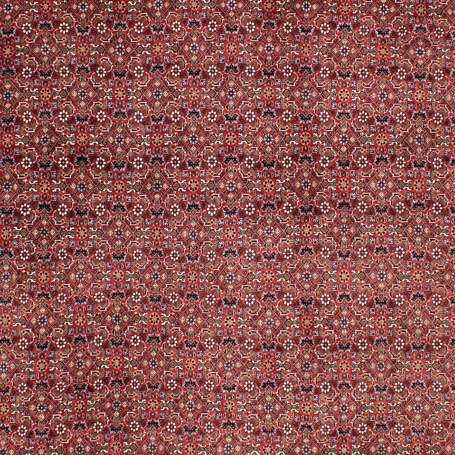 Persisk tæppe - Bijar - 290 x 203 cm - mørkerød