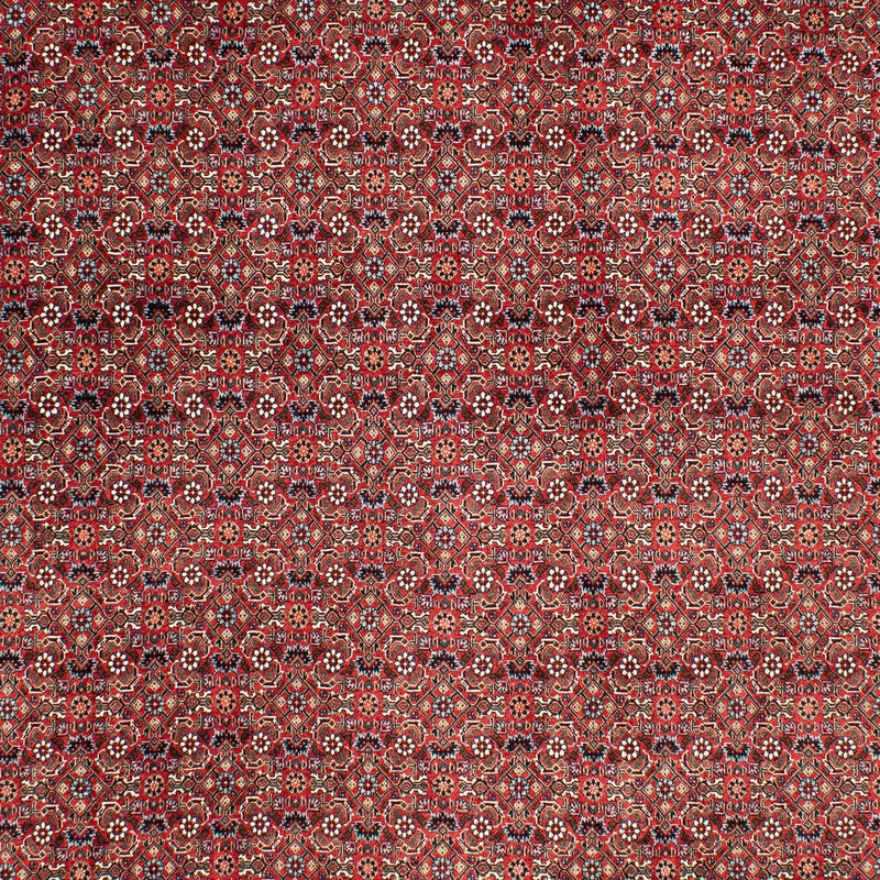 Persisk tæppe - Bijar - 290 x 203 cm - mørkerød