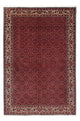Bidjar Tæppe 243x172cm - Persisk tæppe