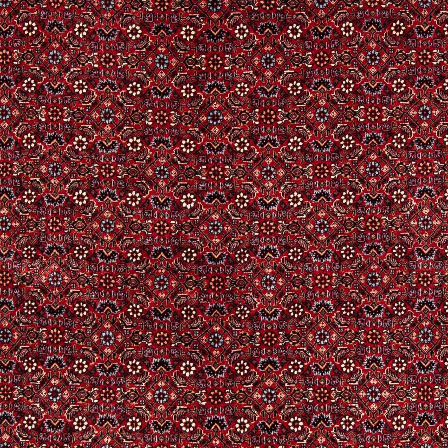 Persisk tæppe - Bijar - 243 x 172 cm - mørkerød