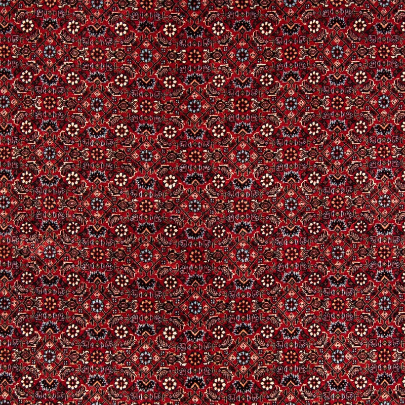 Persisk tæppe - Bijar - 243 x 172 cm - mørkerød