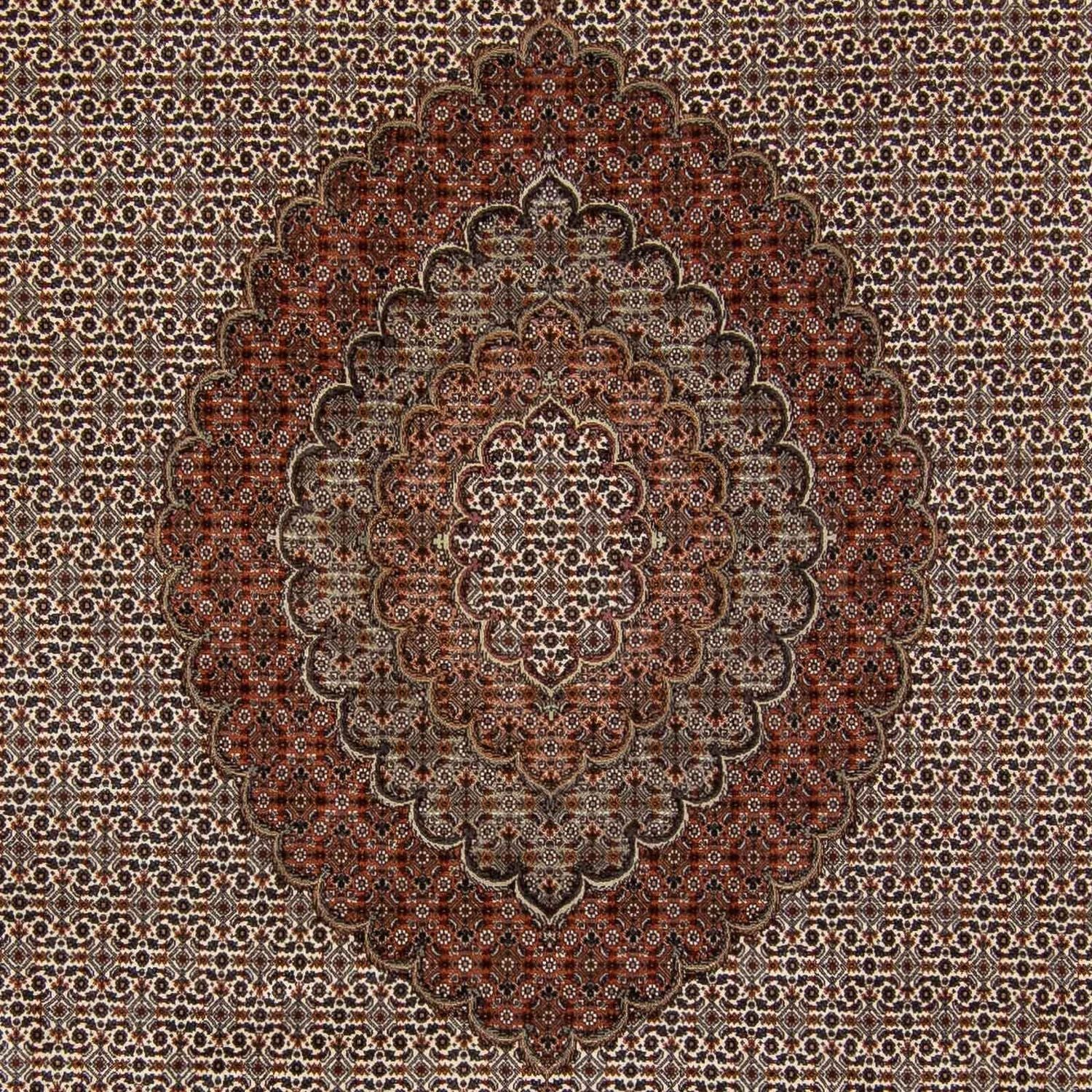 Persisk tæppe - Tabriz - 350 x 250 cm - mørkebrun