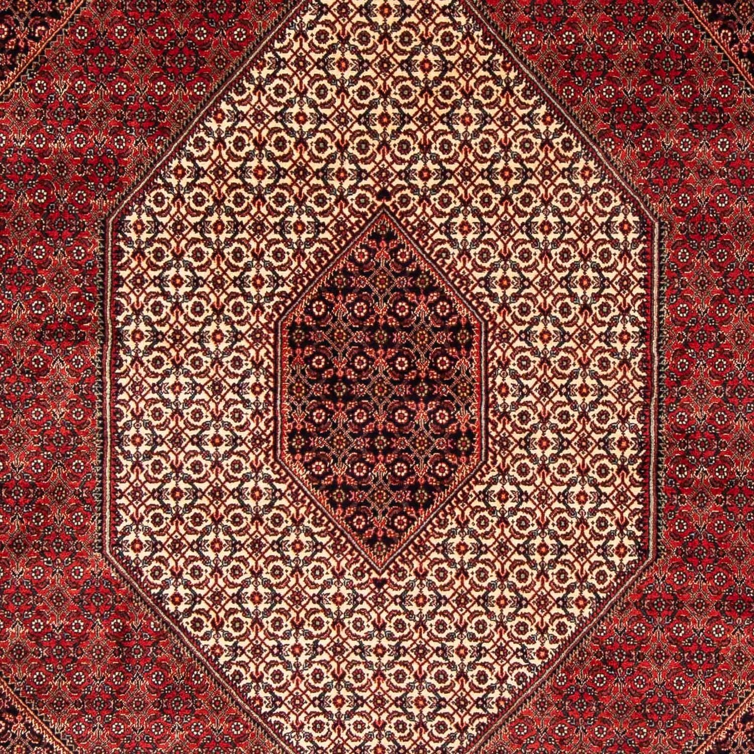 Persisk tæppe - Bijar - 248 x 171 cm - mørkerød