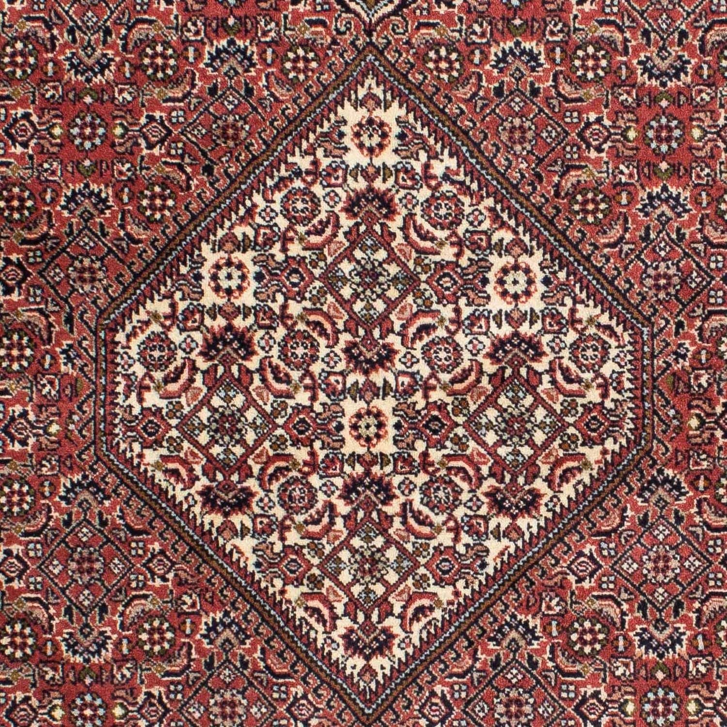 Persisk tæppe - Bijar - 225 x 143 cm - rød