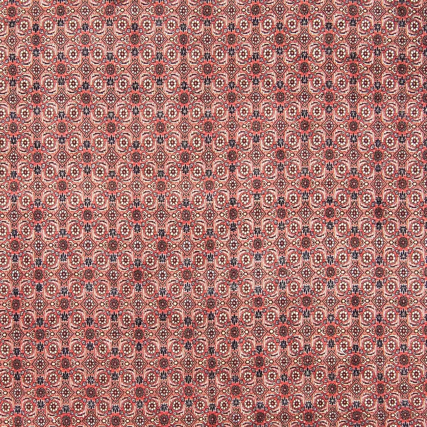 Persisk tæppe - Bijar - 308 x 254 cm - lysrød