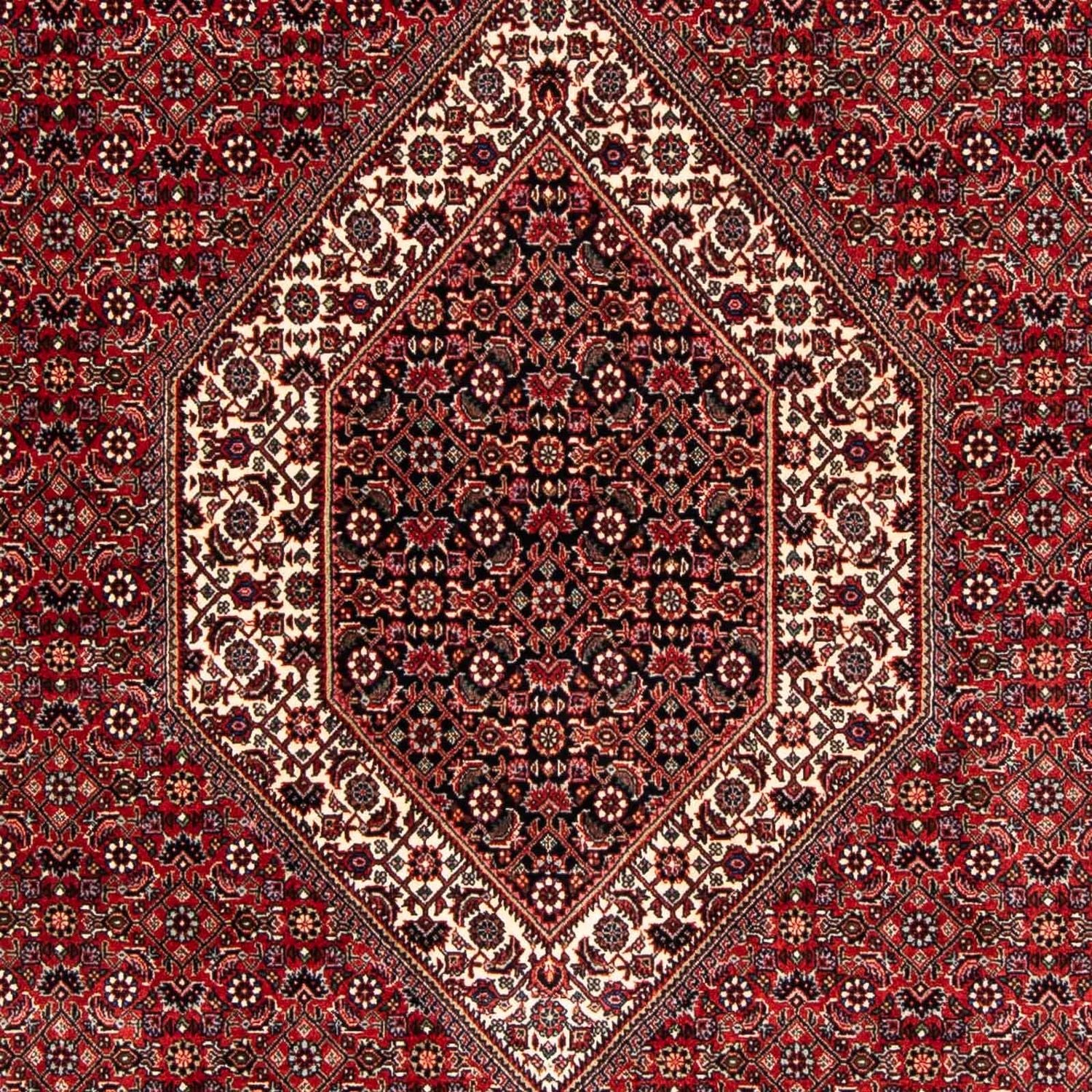 Persisk tæppe - Bijar - 250 x 170 cm - mørkerød