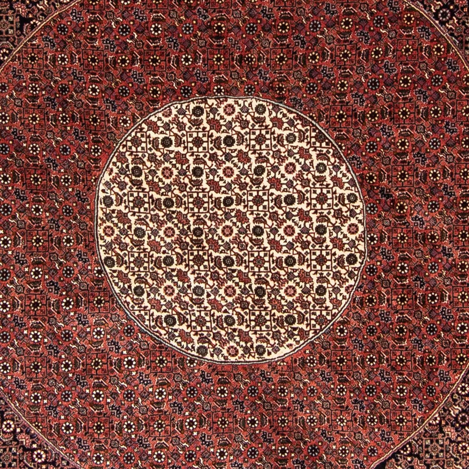 Persisk tæppe - Bijar rundt  - 260 x 260 cm - mørkerød