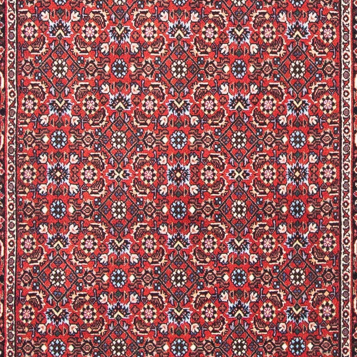 Persisk tæppe - Bijar - 139 x 70 cm - rød