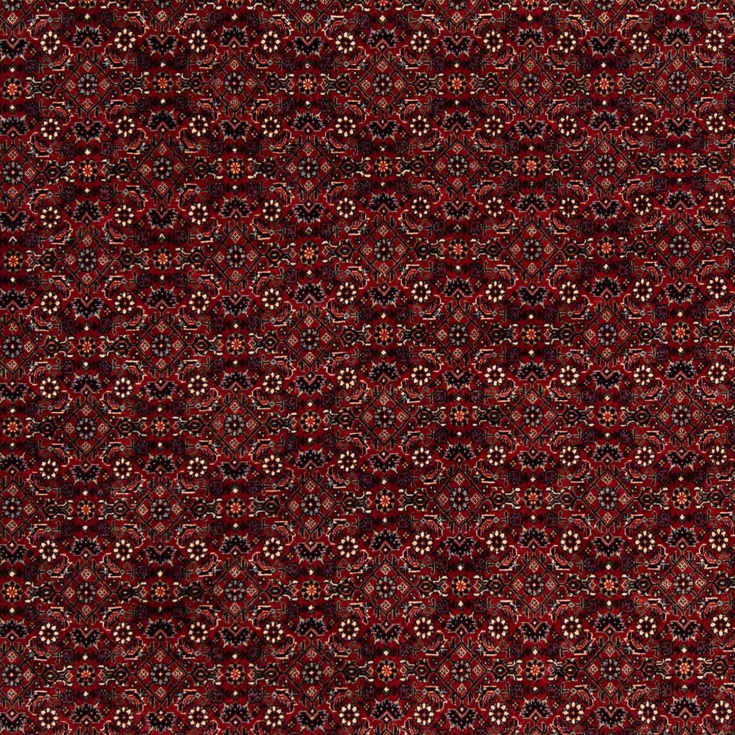 Persisk tæppe - Bijar firkantet  - 212 x 205 cm - mørkerød