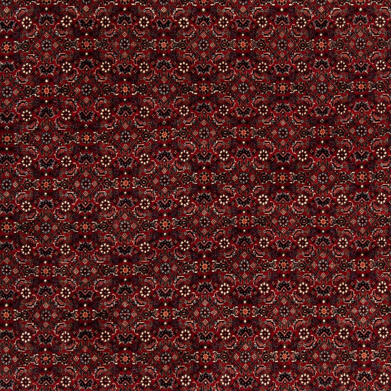 Persisk tæppe - Bijar firkantet  - 212 x 205 cm - mørkerød
