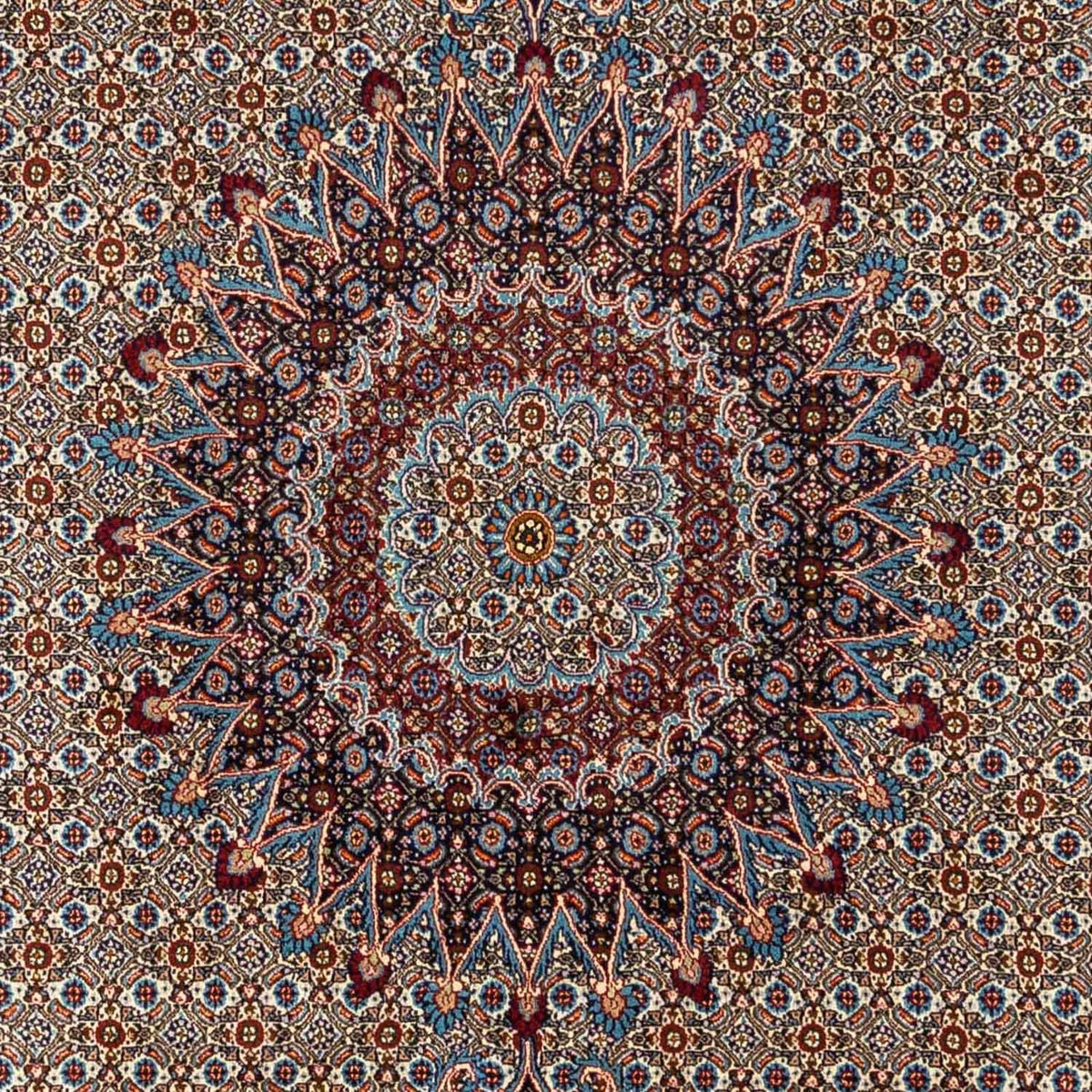 Persisk tæppe - Classic - 335 x 250 cm - beige