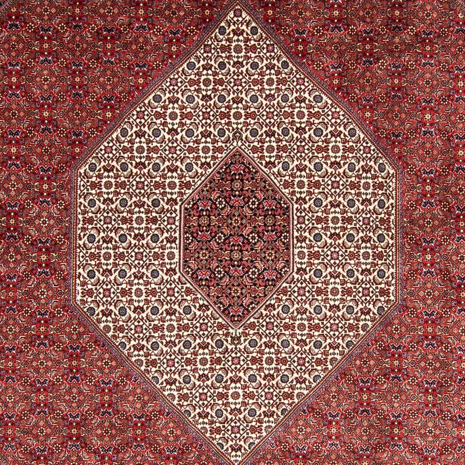 Persisk tæppe - Bijar - 348 x 252 cm - mørkerød