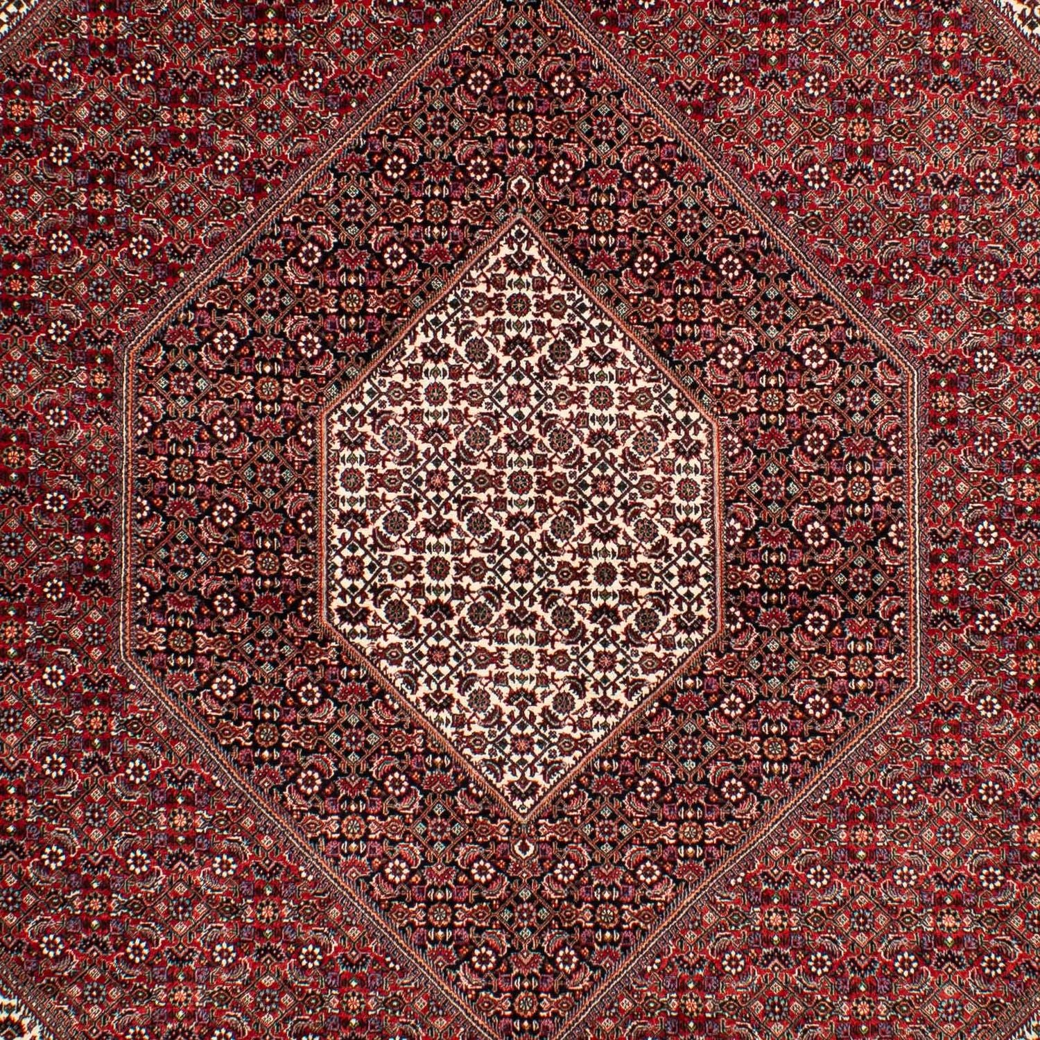 Persisk tæppe - Bijar - 304 x 204 cm - mørkerød