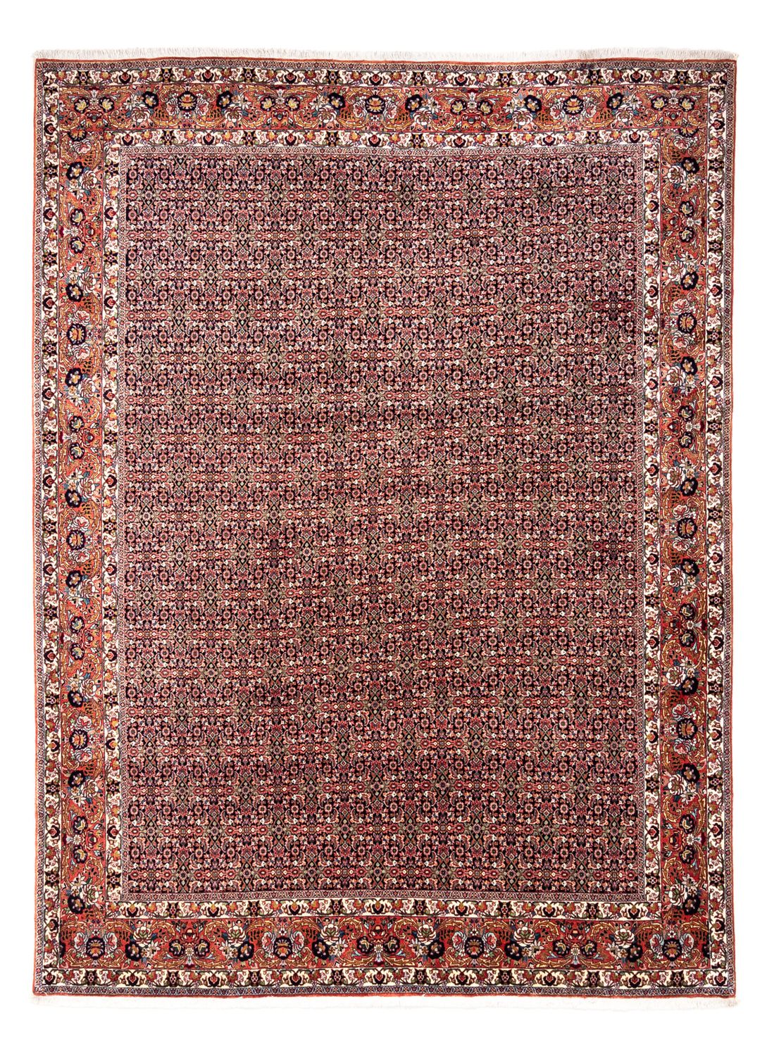 Persisk tæppe - Bijar - Royal - 332 x 248 cm - rust