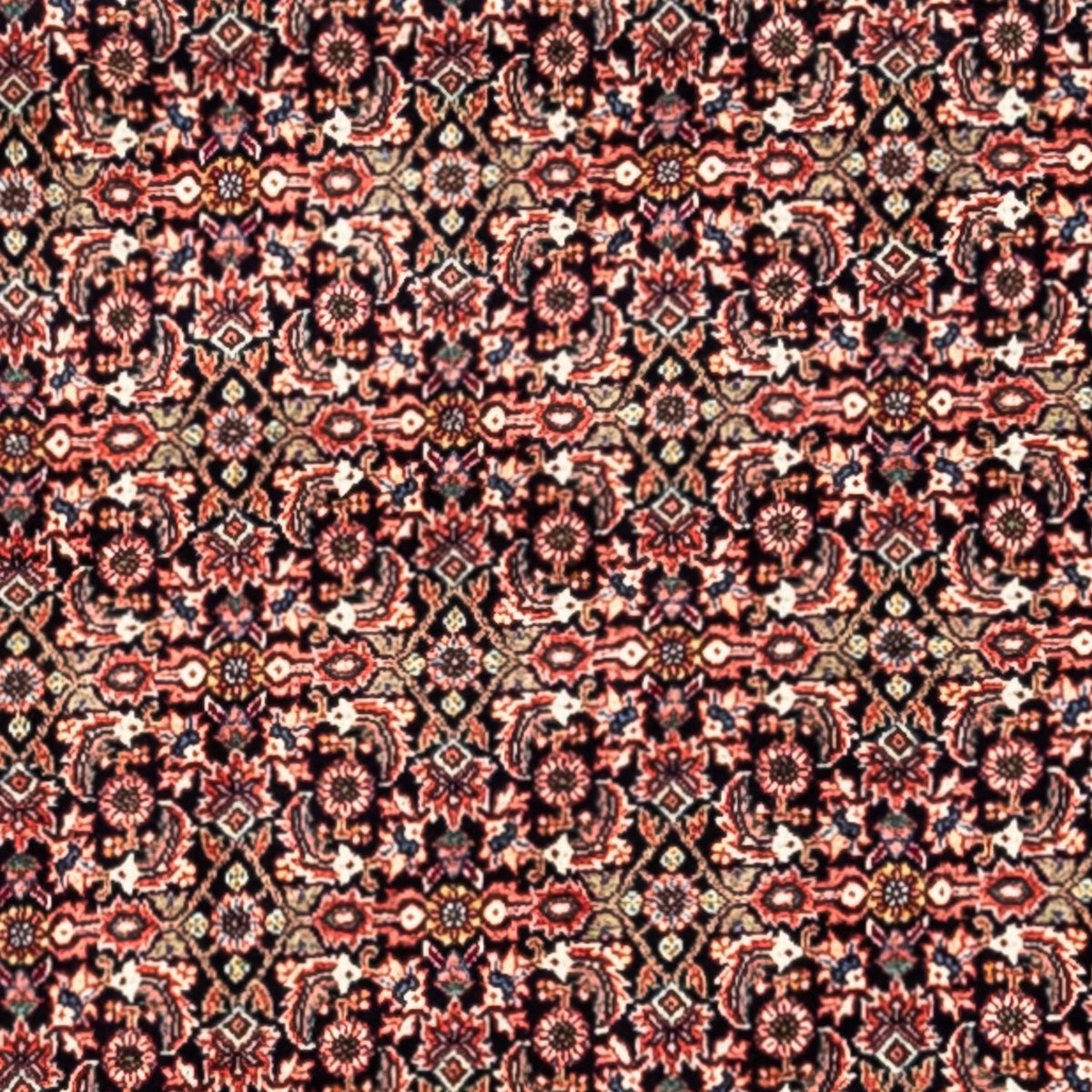 Persisk tæppe - Bijar - Royal - 332 x 248 cm - rust