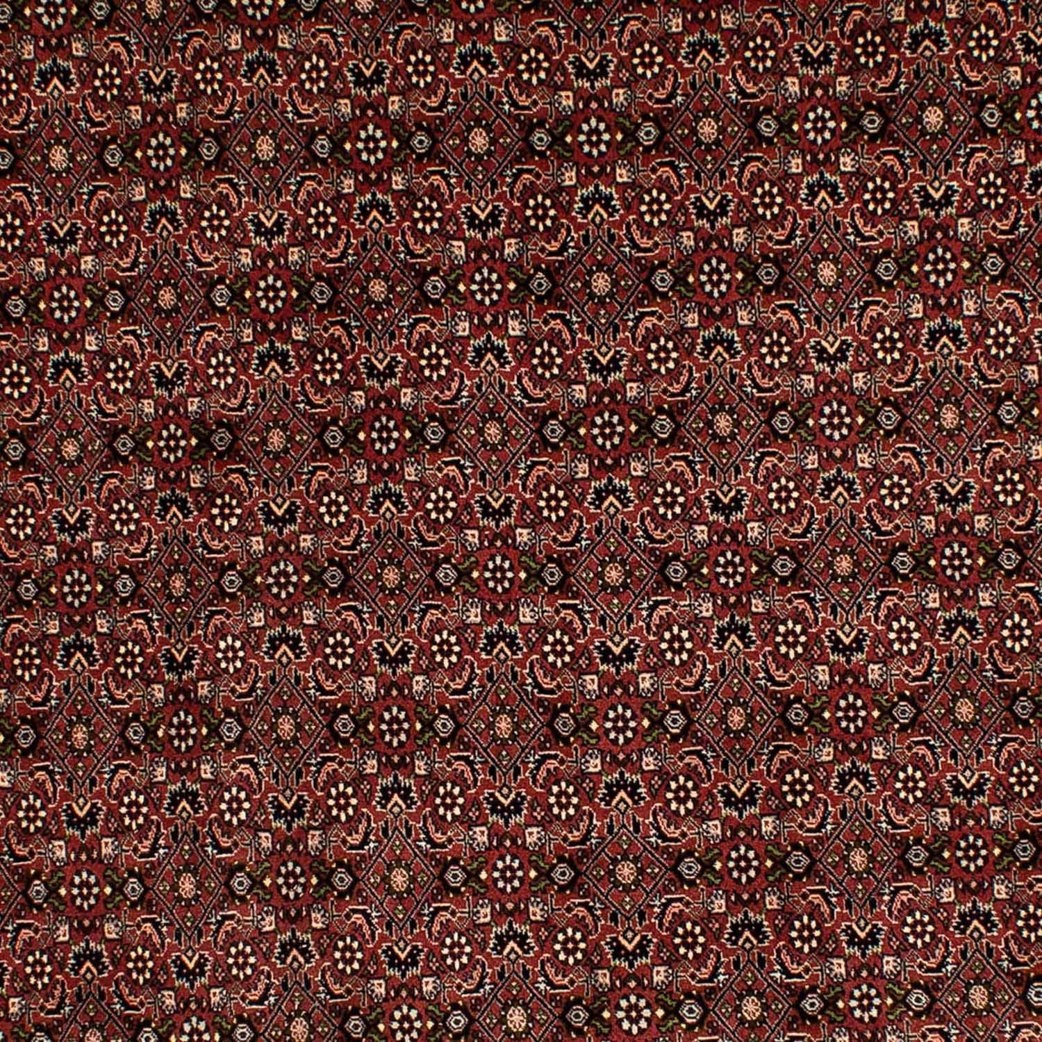 Persisk tæppe - Bijar - 293 x 198 cm - brun