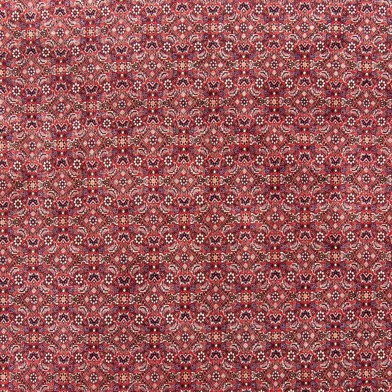 Persisk tæppe - Bijar - 343 x 251 cm - lysrød