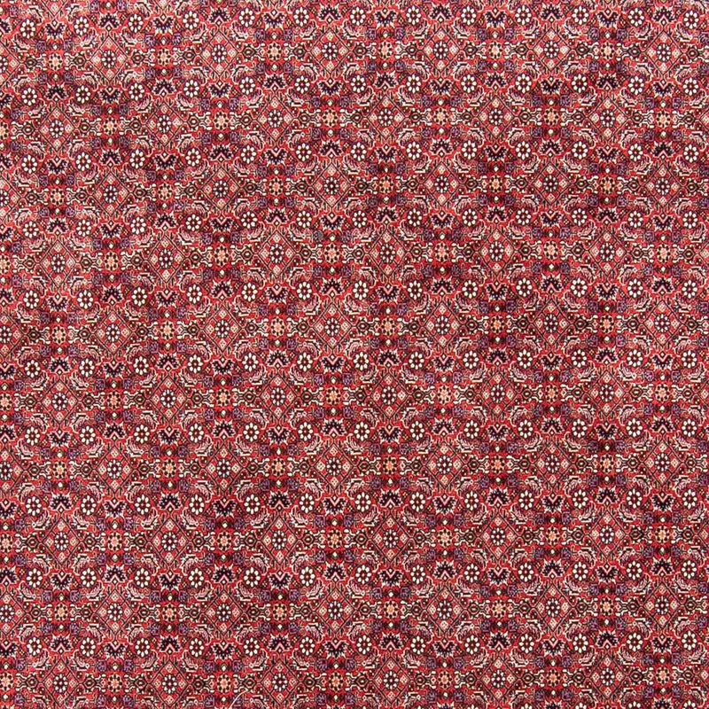 Persisk tæppe - Bijar - 343 x 251 cm - lysrød