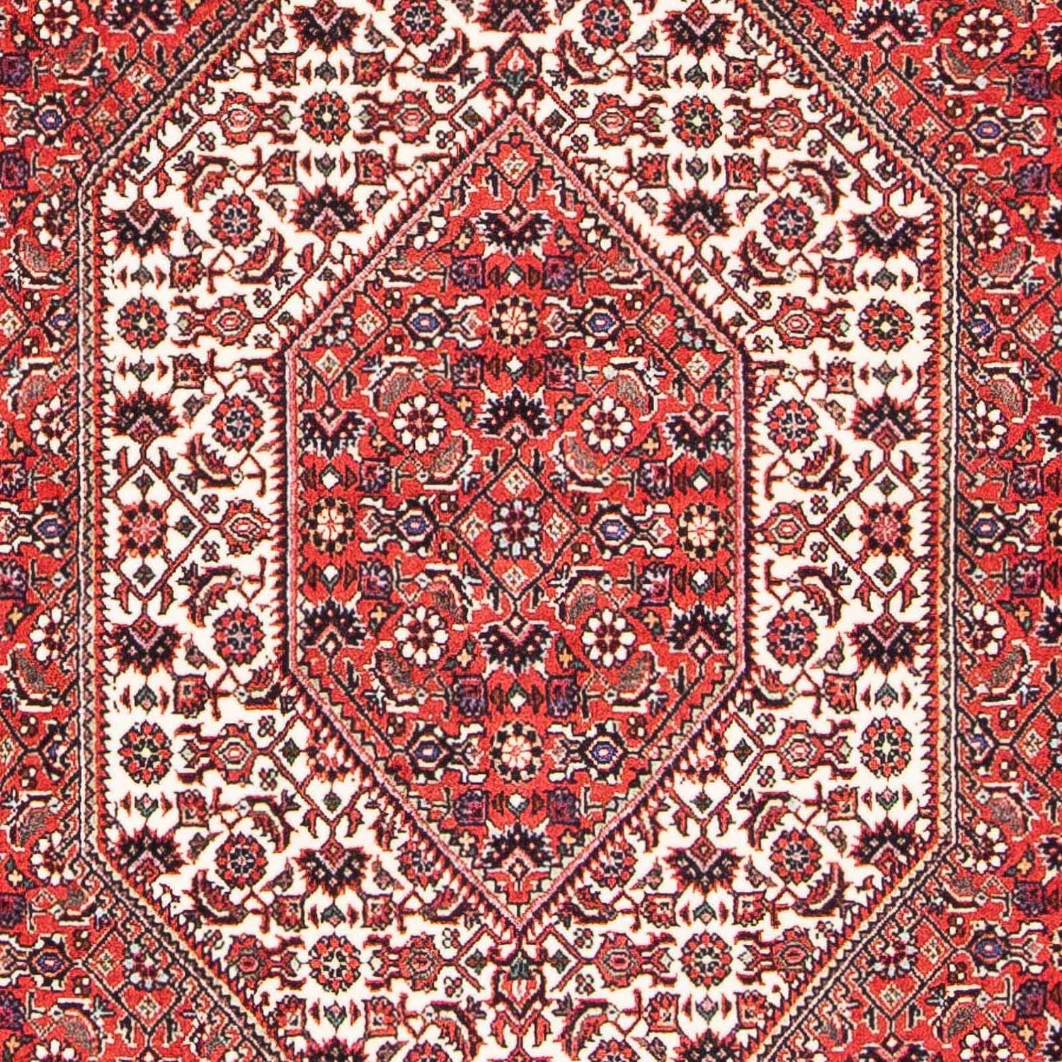 Persisk tæppe - Bijar - 175 x 108 cm - lysrød