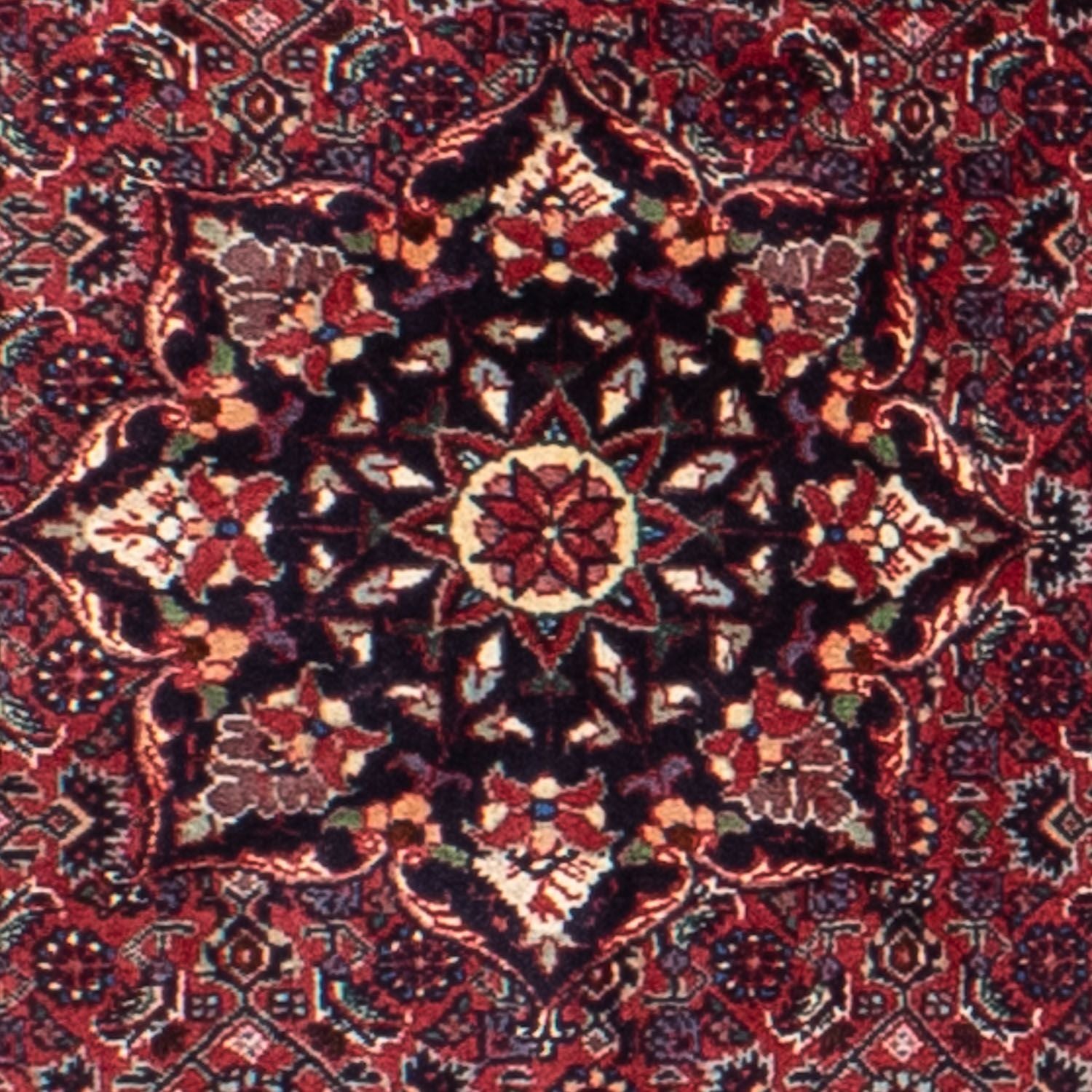 Persisk tæppe - Bijar rundt  - 150 x 150 cm - mørkerød