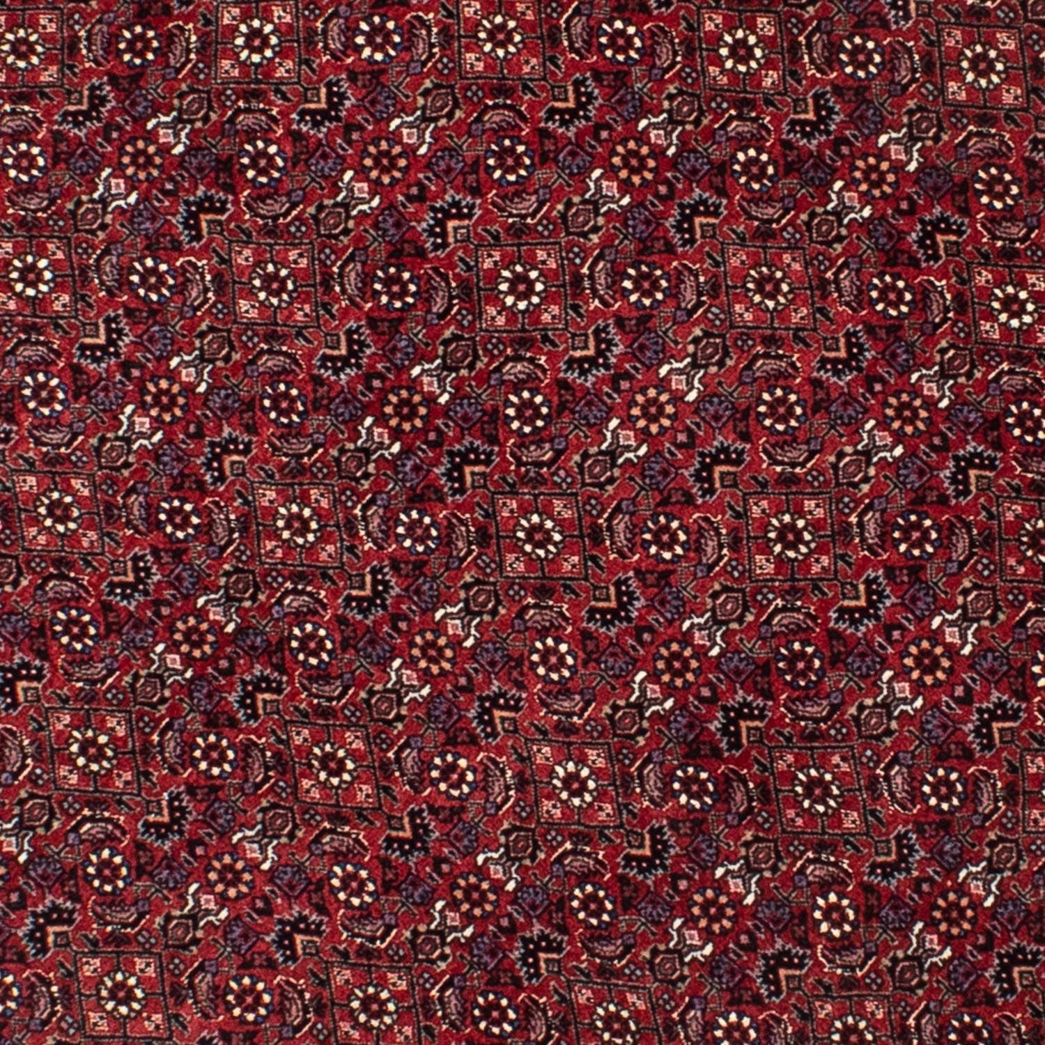 Persisk tæppe - Bijar rundt  - 150 x 150 cm - mørkerød